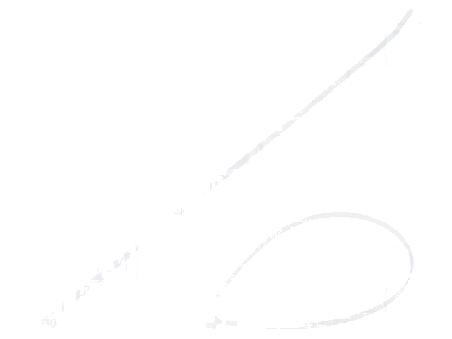 Kabelbinder; L: 368mm; W: 4,8mm; polyamide; 222N; natuurlijk Kabelbinder; L: 368mm; W: 4,8mm; polyamide; 222N; natuurlijk